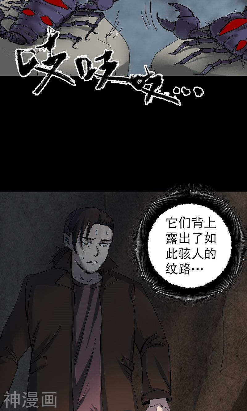 第47话(31P)-凶棺-万画筒漫画（第6张）