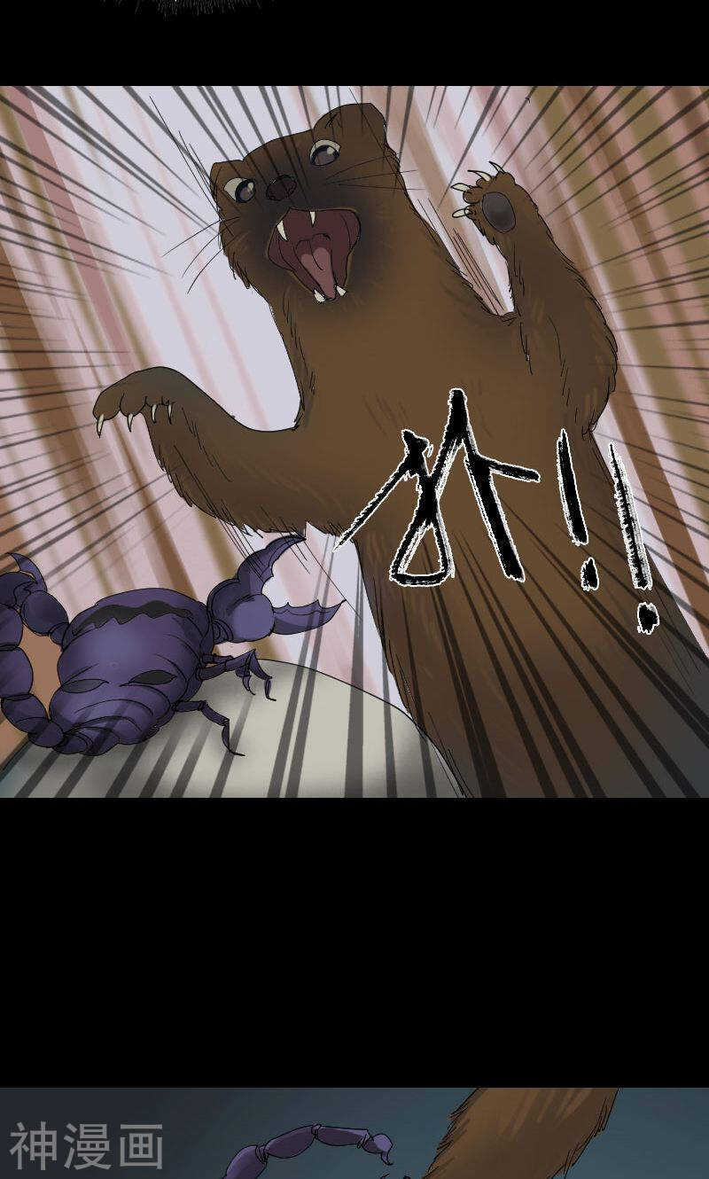 第47话(31P)-凶棺-万画筒漫画（第19张）