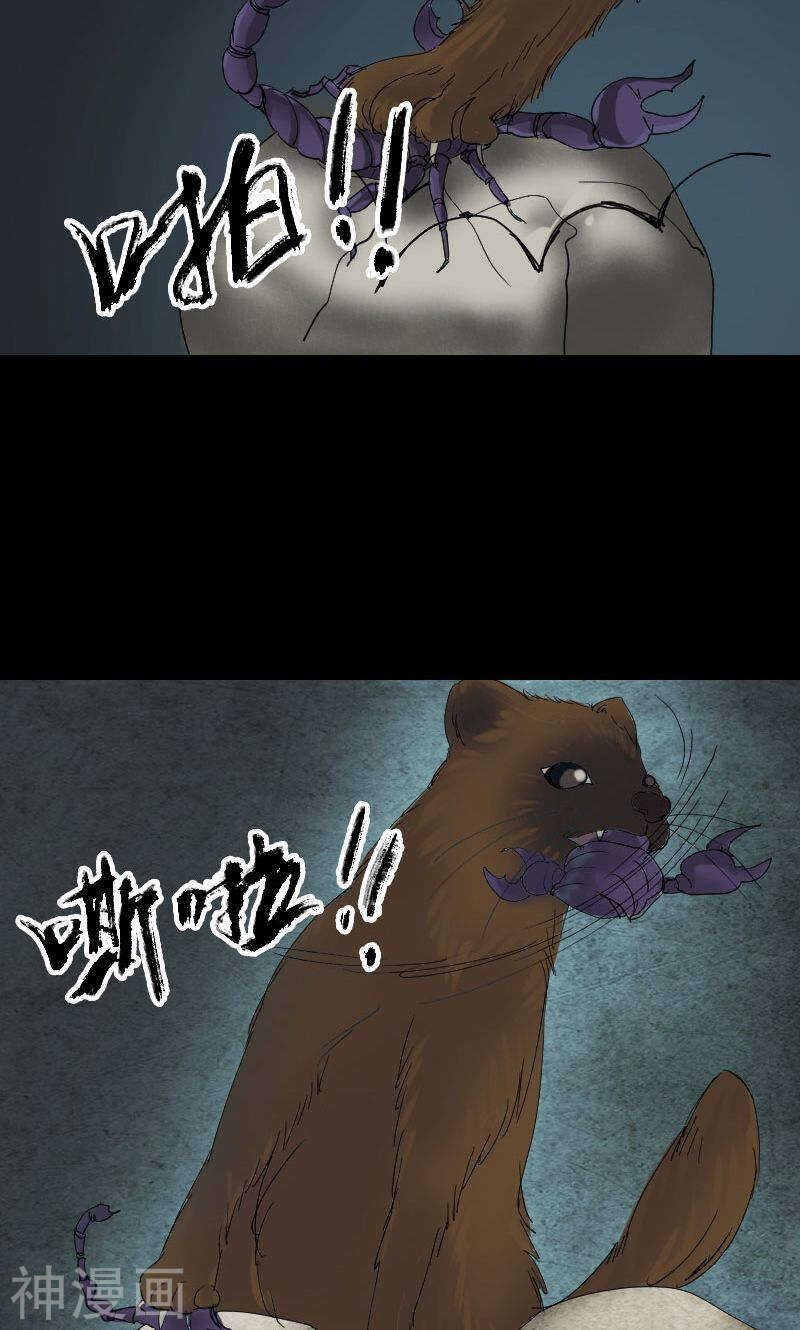 第47话(31P)-凶棺-万画筒漫画（第20张）