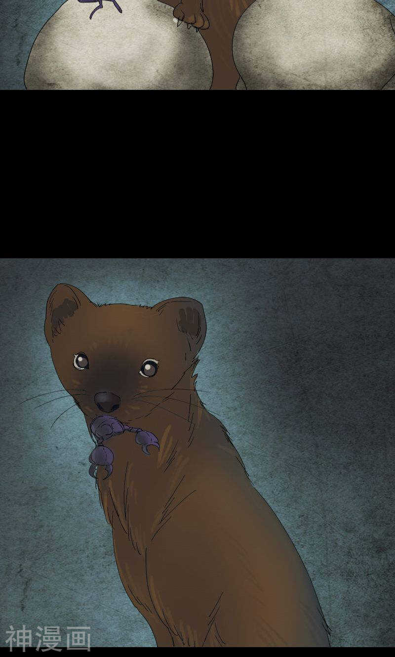 第47话(31P)-凶棺-万画筒漫画（第21张）