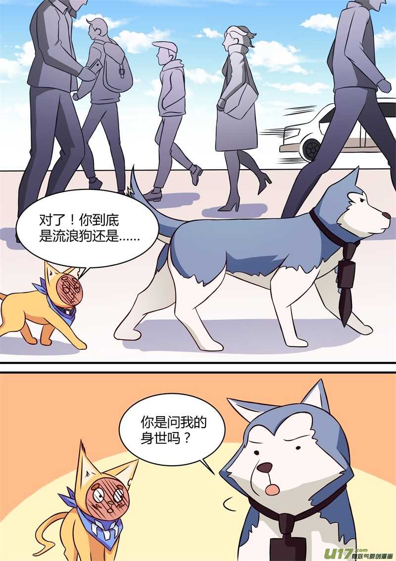 第二十八话出发拯救香尾猫-游宠奇侠传（全彩）-西影工作室（第12张）