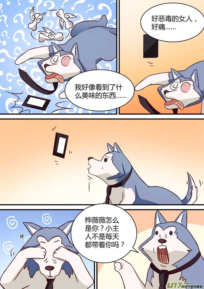 第三十话被遗弃的蛋肾汪-游宠奇侠传（全彩）-西影工作室（第9张）