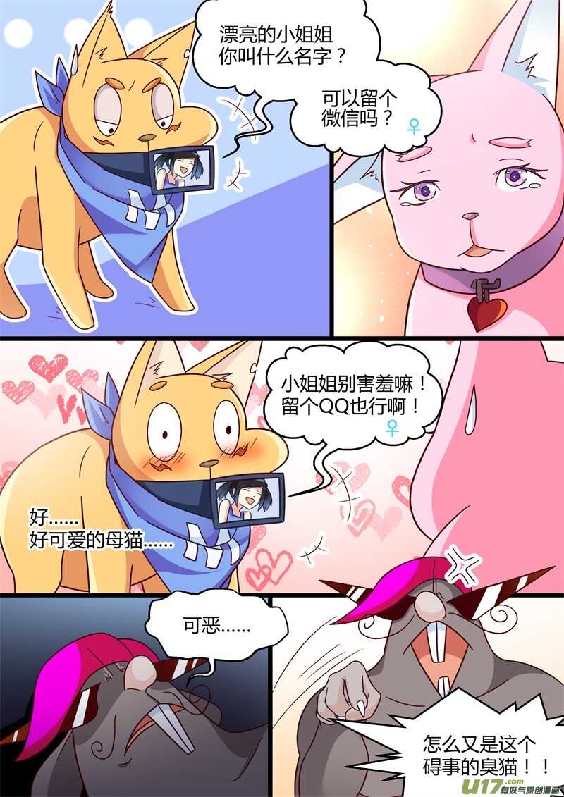 第七话拯救香尾猫-游宠奇侠传（全彩）-西影工作室（第5张）