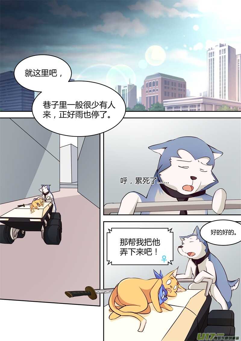 第十六话暴雨中的小猫-游宠奇侠传（全彩）-西影工作室（第8张）