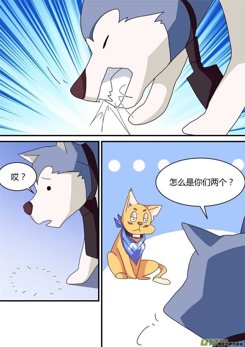 第二十四话一袋骨头引起的恐慌-游宠奇侠传（全彩）-西影工作室（第13张）