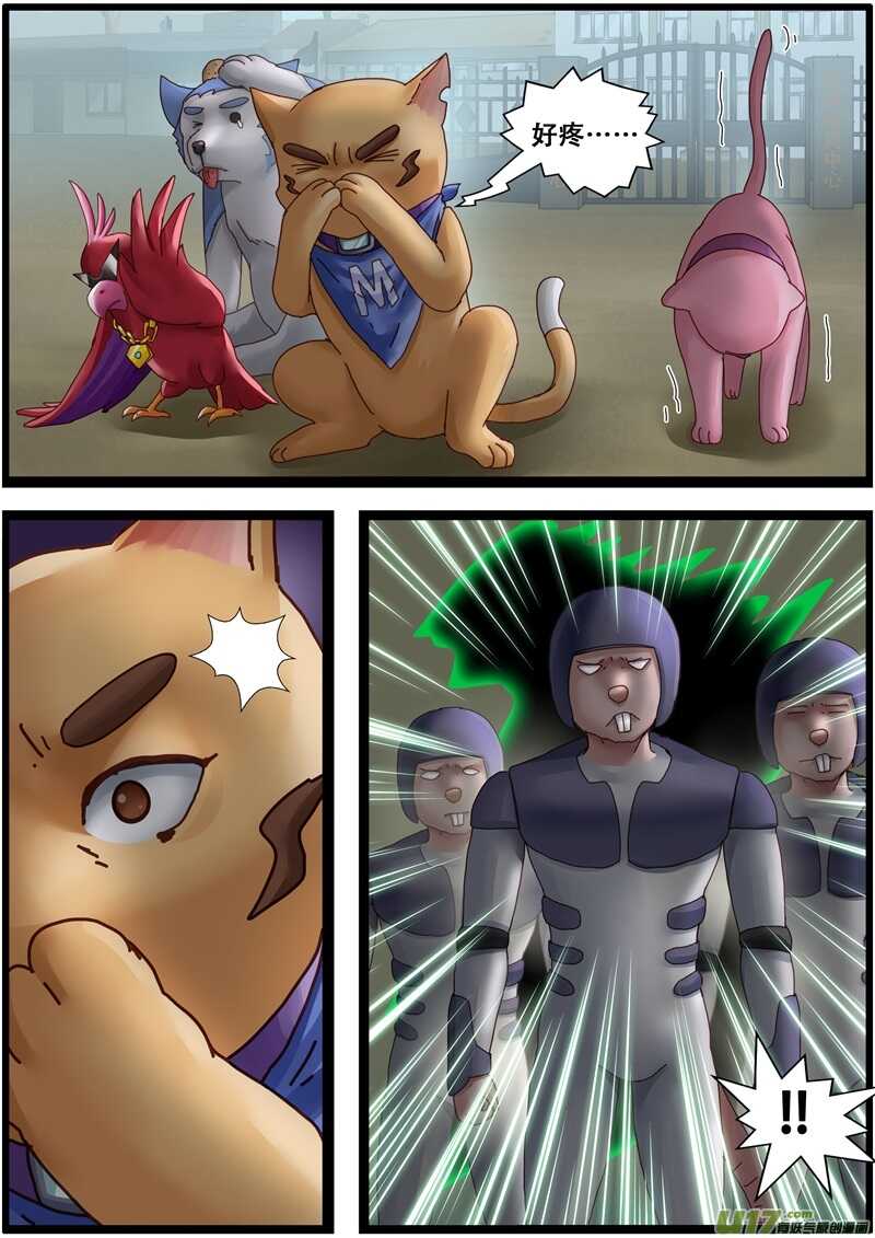 第一百四十七话“最终圣战”-游宠奇侠传（全彩）-西影工作室（第11张）