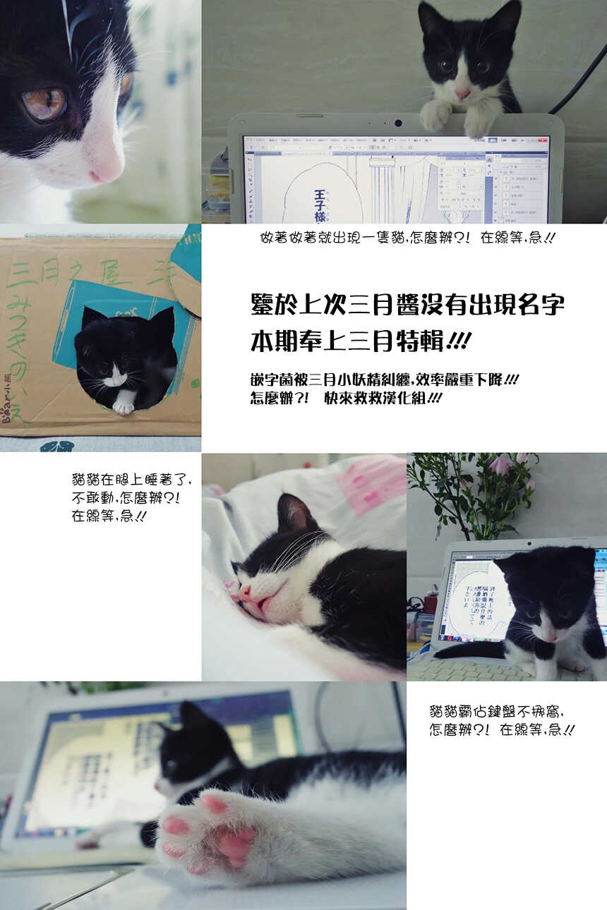 第05话-执事殿下的爱猫-舵英里（第18张）