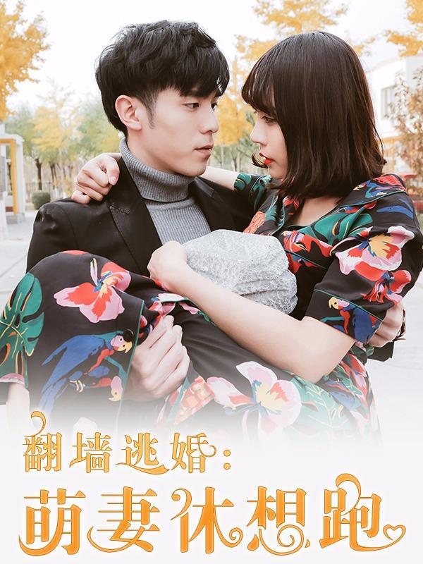 翻墙逃婚:萌妻休想跑(真人版)