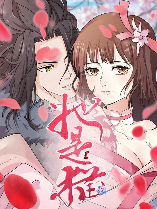 她是猫